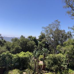 View from patio View from patio