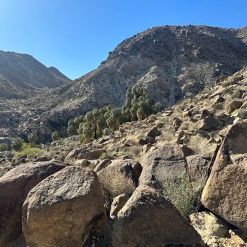 Fortynine Palms Oasis - Hiking Near Me - Twentynine Palms, California