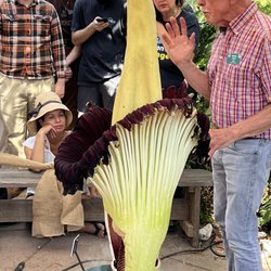 UC Santa Cruz Arboretum & Botanic Garden - Getting a nice lecture to accompany smells and view