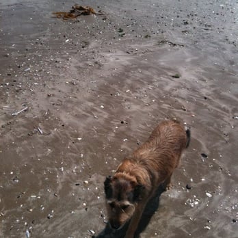 Portmarnock Beach - Beaches Near Me - Portmarnock, D