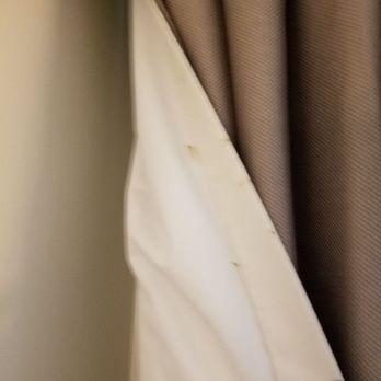Bed Bugs In The Hotel Room Curtains Yelp