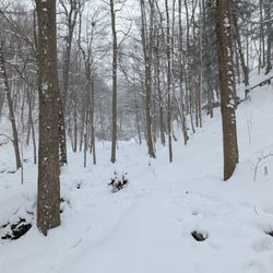 Akron Falls Park - Trail to the waterfall. February 2026