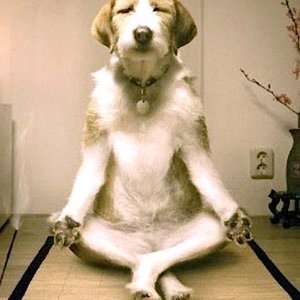 Photo of La China Restaurant - El Cajon, CA, United States