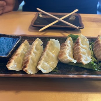 Ton-Ichi Ramen - Gyoza- Pork - Ramen Near Me - Oakbrook Terrace, Illinois