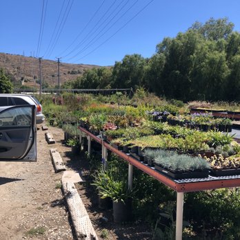 Nature's Best Nursery - Huge selection - Nurseries & Gardening Near Me - Camarillo, California Nature's Best Nursery - Huge selection - Nurseries & Gardening Near Me - Camarillo, California