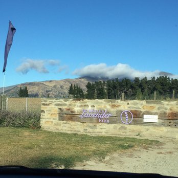 Wanaka Lavender Farm - Farms Near Me - Wanaka, OTA
