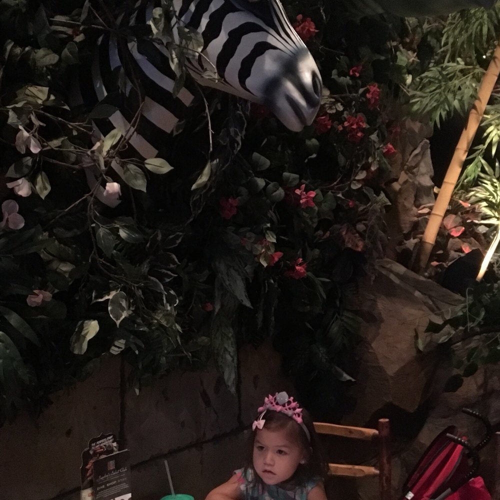 Rainforest Cafe - American Near Me - Katy, Texas