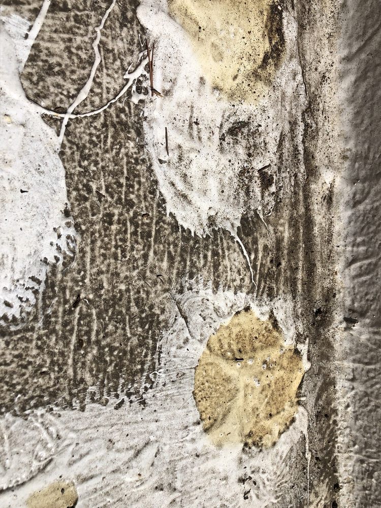 Slide of Sure Roofing & Waterproofing