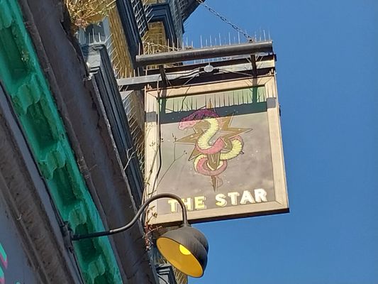 The Star of Bethnal Green by null