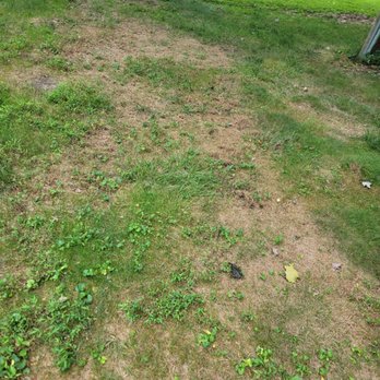 Lawn Masters - Lawn Services Near Me - Newburgh, Indiana