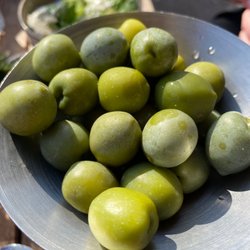 Zizzi - Olive