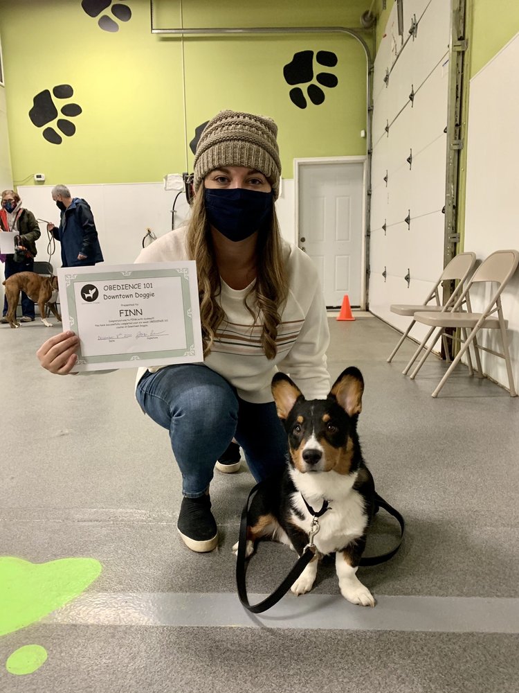 DOWNTOWN DOGGIE Updated October 2024 25 Photos & 29 Reviews 925 E