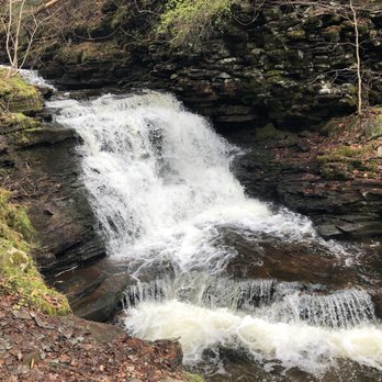 Ricketts Glen State Park - Parks Near Me - Benton, Pennsylvania