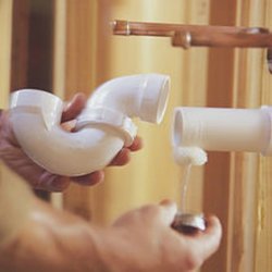 The Plumbing Shark