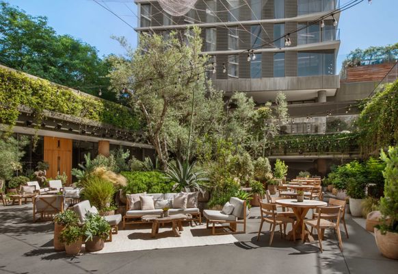 Juniper Lounge and Garden by null