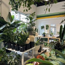 Plant Shop - Plant Shop