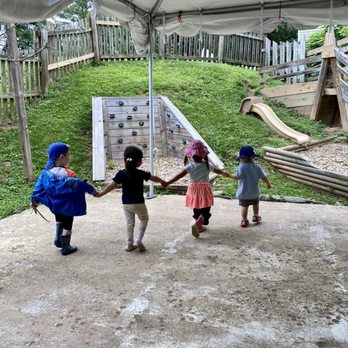Fiore Montessori School - Toddlers in toddler garden - Montessori Schools Near Me - Vienna, Virginia Fiore Montessori School - Toddlers in toddler garden - Montessori Schools Near Me - Vienna, Virginia