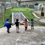 Photo of Fiore Montessori School