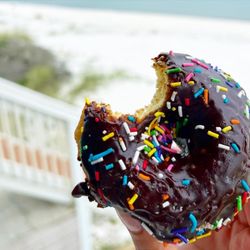 Weber's Little Donut Shop - Chocolate Glazed, Rainbow Sprinkled