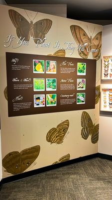Cockrell Butterfly Center by null