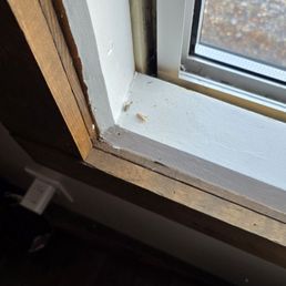 Bugs Bugs