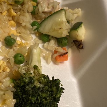 Amura - ROACH INSIDE MY FOOD!!!! - Sushi Bars Near Me - Lake Mary, Florida