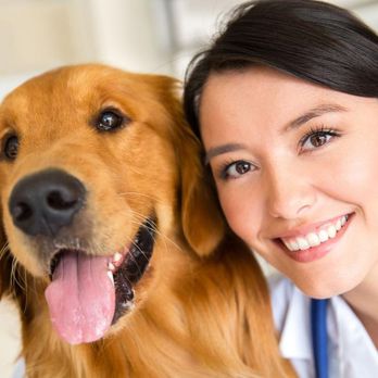 TLC For Pets - Veterinarians Near Me - Reisterstown, Maryland TLC For Pets - Veterinarians Near Me - Reisterstown, Maryland