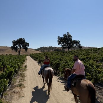 Lucky 7 Trail Rides - Horseback Riding Near Me Lucky 7 Trail Rides - Horseback Riding Near Me