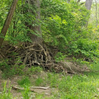 Twin Creek MetroPark - Hiking Near Me - Germantown, Ohio