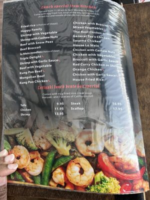 Menu photo 8 Den Asian Bistro Dyer, IN