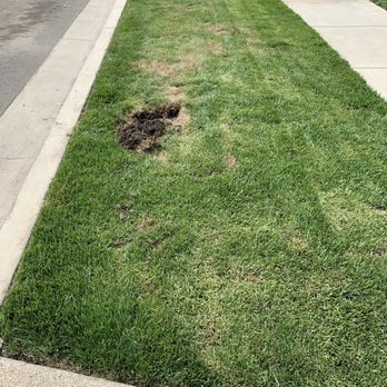 Salinas Landscaping - Landscaping Near Me Salinas Landscaping - Landscaping Near Me