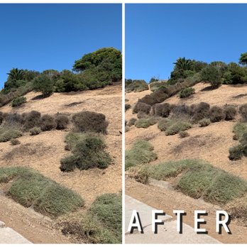 Juans Landscaping - Yard clean up - Landscaping Near Me Juans Landscaping - Yard clean up - Landscaping Near Me