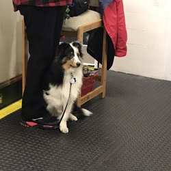 Heartland Humane Society Thrift Shop