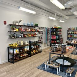 Canino Dog Boutique