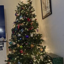AJ's Christmas Trees
