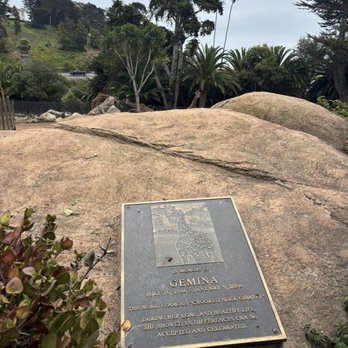 Santa Barbara Zoo - Gemina plaque. She was the crooked neck giraffe, world wide super star. Passed in 2008. - Zoos Near Me - Santa Barbara, California Santa Barbara Zoo - Gemina plaque. She was the crooked neck giraffe, world wide super star. Passed in 2008. - Zoos Near Me - Santa Barbara, California