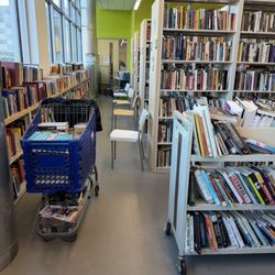 Friends of the Library