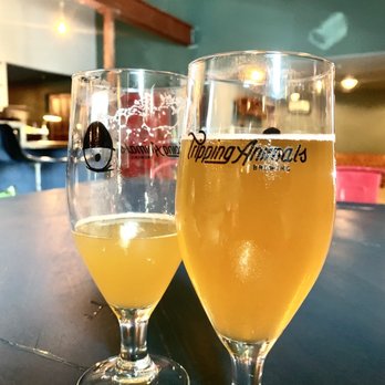Tripping Animals Brewing - Irie Jungle (left) Nobody Nose (right hand) - Breweries Near Me - Doral, Florida