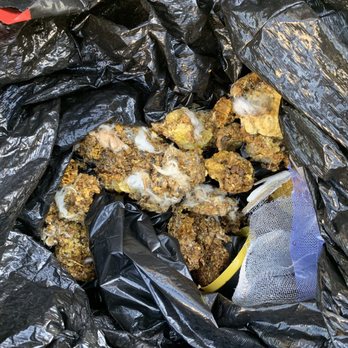 Busy Bee Removal - Beehive smashed in the trash bag. - Pest Control Near Me - Burbank, California