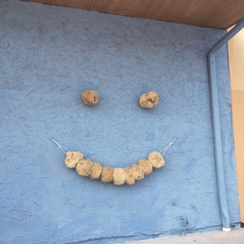 Sponge Docks - Made with sponges by the side of the building - Gift Shops Near Me - Tarpon Springs, Florida Sponge Docks - Made with sponges by the side of the building - Gift Shops Near Me - Tarpon Springs, Florida