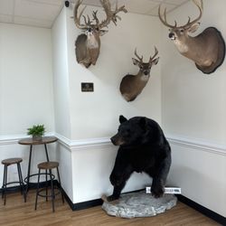Vape Lodge