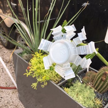 la Barbecue - This is what a bored artist does with her empty beer cup in line. - Barbeque Near Me - Austin, Texas la Barbecue - This is what a bored artist does with her empty beer cup in line. - Barbeque Near Me - Austin, Texas