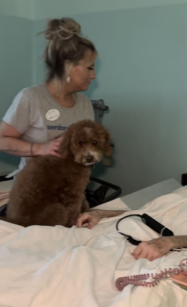 Senior Care with Flair - home care agency in Manchester, MO