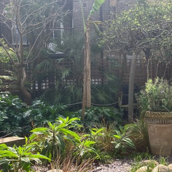 Bonnington Square - Local Flavor Near Me - London, XGL
