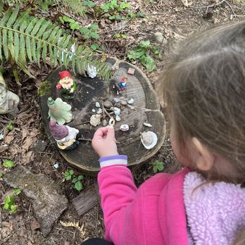Gnomes Trail - Hiking Near Me - Maple Valley, Washington Gnomes Trail - Hiking Near Me - Maple Valley, Washington