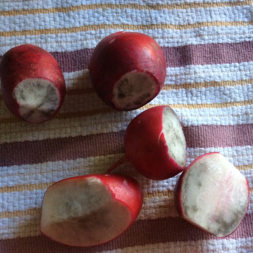 Black radishes Black radishes