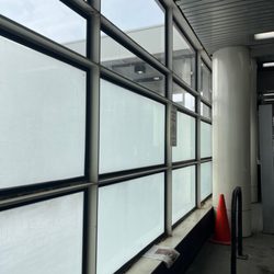 user provided Chicago Transit Authority photo