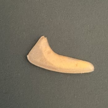 Burger King - Plastic piece of hair clip. - Fast Food Near Me - North Bend, Washington