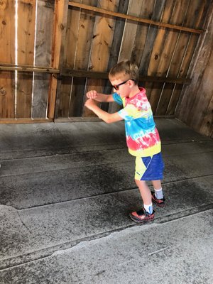 Cosmos Mystery Area by null