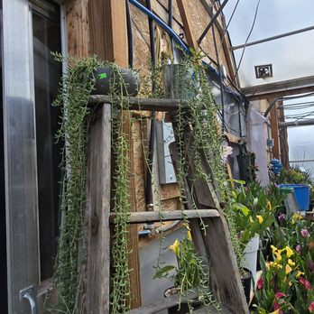Sunrise Greenhouse - Nurseries & Gardening Near Me - Milroy, Indiana